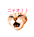 私の独り言。（個別スタンプ：8）