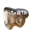 うさぎのむぎちゃん（個別スタンプ：7）
