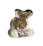 うさぎのむぎちゃん（個別スタンプ：12）