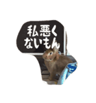 うさぎのむぎちゃん（個別スタンプ：13）