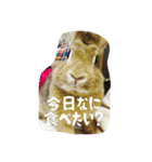 うさぎのむぎちゃん（個別スタンプ：18）
