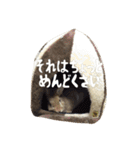 うさぎのむぎちゃん（個別スタンプ：20）