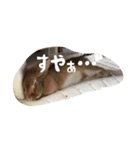 うさぎのむぎちゃん（個別スタンプ：21）
