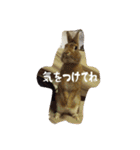 うさぎのむぎちゃん（個別スタンプ：27）
