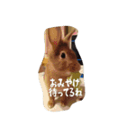 うさぎのむぎちゃん（個別スタンプ：29）