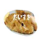 うさぎのむぎちゃん（個別スタンプ：32）