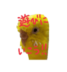 やんきゅうちゃんの1日（個別スタンプ：6）