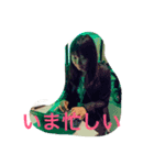 Leiの日常（個別スタンプ：2）