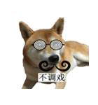 Shiba Inu is Let me also speak！ 2（個別スタンプ：15）
