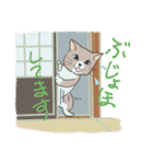 秋田の猫たち（個別スタンプ：27）