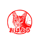 ナナのハンコスタンプ（個別スタンプ：1）