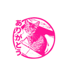 ナナのハンコスタンプ（個別スタンプ：5）