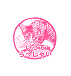 ナナのハンコスタンプ（個別スタンプ：14）