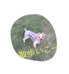 凛ちゃんの日常（個別スタンプ：5）