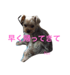 凛ちゃんの日常（個別スタンプ：7）
