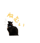 月と雪1（個別スタンプ：3）