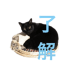 月と雪1（個別スタンプ：10）