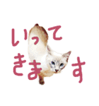 月と雪1（個別スタンプ：13）