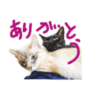月と雪1（個別スタンプ：18）