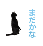 月と雪1（個別スタンプ：19）
