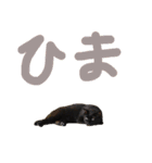 月と雪1（個別スタンプ：20）