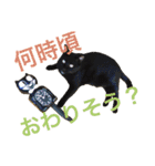 月と雪1（個別スタンプ：27）