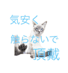 月と雪1（個別スタンプ：32）