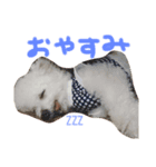 マイエンジェルびきゅ（個別スタンプ：2）
