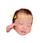 なのたん（個別スタンプ：6）
