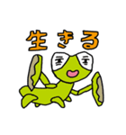 ぶっとんだてんとう虫（個別スタンプ：22）