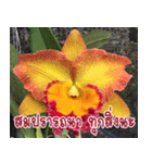orchid thai5（個別スタンプ：23）
