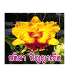 orchid thai5（個別スタンプ：38）