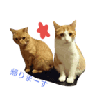 マーコロと愉快な仲間達スタンプ第二弾（個別スタンプ：2）