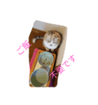 マーコロと愉快な仲間達スタンプ第二弾（個別スタンプ：4）