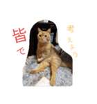 マーコロと愉快な仲間達スタンプ第二弾（個別スタンプ：7）
