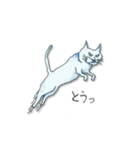 「猫郵便」（個別スタンプ：6）