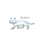 「猫郵便」（個別スタンプ：27）