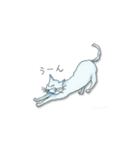 「猫郵便」（個別スタンプ：31）