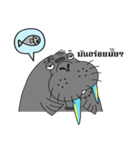Mr. walrus（個別スタンプ：1）