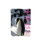 大阪弁の動物たち（個別スタンプ：1）