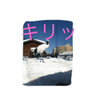 大阪弁の動物たち（個別スタンプ：2）