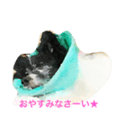 かわいい“のえる”（個別スタンプ：1）