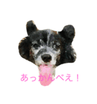 かわいい“のえる”（個別スタンプ：2）