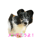 かわいい“のえる”（個別スタンプ：3）