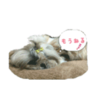 アリのスタンプ2（個別スタンプ：5）