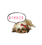 アリのスタンプ2（個別スタンプ：11）