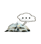 アリのスタンプ2（個別スタンプ：24）