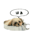 アリのスタンプ2（個別スタンプ：39）