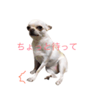あんにん2（個別スタンプ：11）