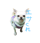 あんにん2（個別スタンプ：15）